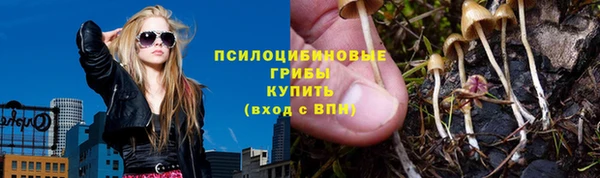 твердый Алексеевка