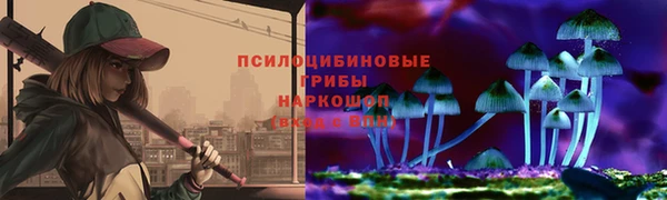 твердый Алексеевка