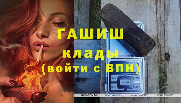 стаф Арсеньев