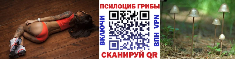 Галлюциногенные грибы мухоморы  Кулебаки 