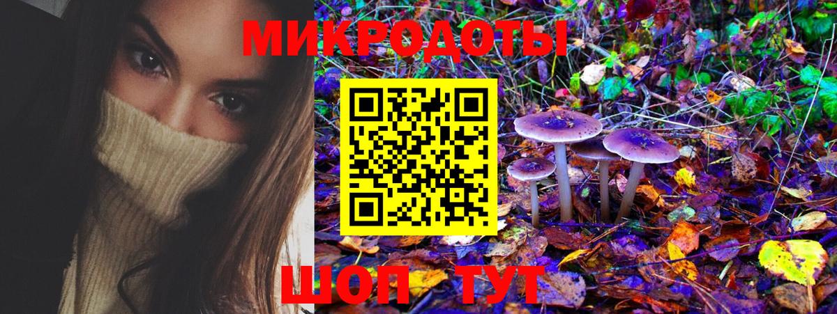 Псилоцибиновые грибы Psilocybine cubensis  Вход с VPN  Кулебаки 