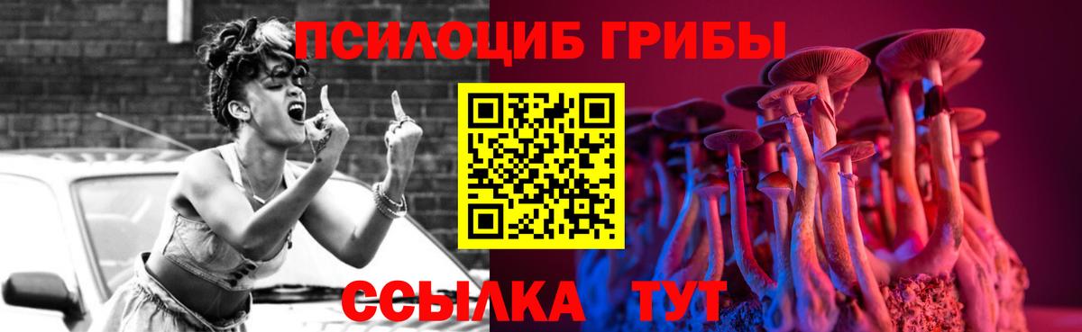 Псилоцибиновые грибы мицелий Кулебаки