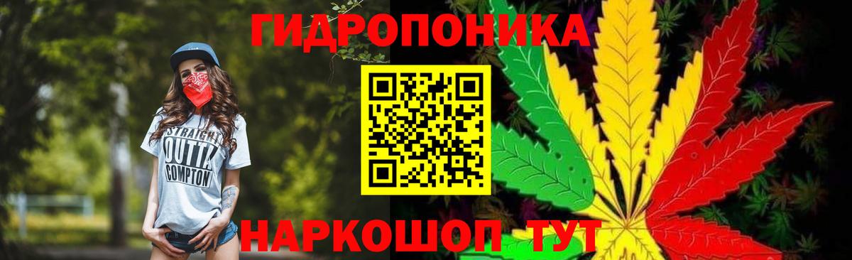 Шишки марихуана Bruce Banner Кулебаки